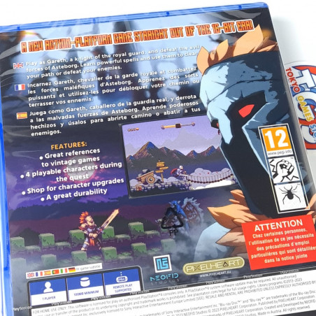 DEMONS OF ASTEBORG PS4 EU Game In EN-FR-DE-ES-IT NEW PixelHeart Platform Action