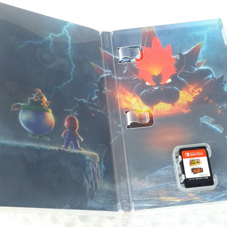 Super Mario 3D World + Bowser's Fury Switch FR Physical Game In Multi-Language Platorm
