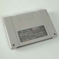Sengoku Densho Super Famicom (Nintendo SFC) Japan Ver. Beat'Em All Data East 1993 SHVC-G5