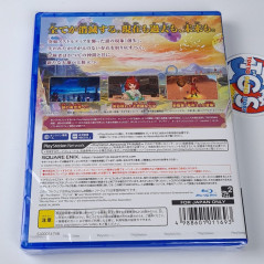 Dragon Quest X Online: The Door to the Future and the ... (CD+DLC in a Box) PS4 Japan New