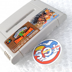 Super Donkey Kong 3: Dixie Kong's Double Trouble Super Famicom Japan Nintendo SFC Platform