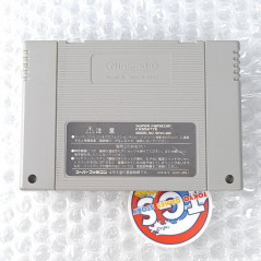 Super Donkey Kong 3: Dixie Kong's Double Trouble Super Famicom Japan Nintendo SFC Platform