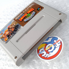 Super Donkey Kong 3: Dixie Kong's Double Trouble Super Famicom Japan Nintendo SFC Platform