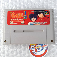 Ranma 1/2 Akanekodan Teki Hihou Super Famicom Japan Game Nintendo SFC RPG 1993 SHVC-R4