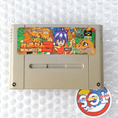 Joe And Mac 2 Tatakae Genshijin Super Famicom Japan Game Nintendo SFC Caveman Ninja Platform Action Data East 1992