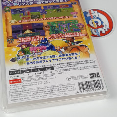 Dokapon: Sword of Fury Nintendo Switch Japan New (RPG)