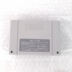 Lagoon (+Reg.Card TBE) Super Famicom (Nintendo SFC) Japan Game (RPG/Kemco 1991) SHVC-LA