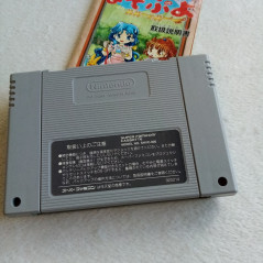 Super Nazo Puyo Lulu no Luu Super Famicom (Nintendo SFC) Japan Ver. Puzzle Compile/Banpresto SHVC-P-ANQJ