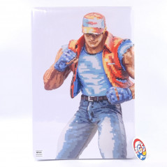 The King of Collectors'24 Fatal Fury Special Terry Bogard Figure Figurine JP New