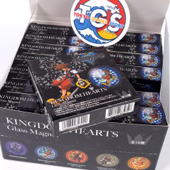 Kingdom Hearts Glass Magnet (Full Set of 14 Pieces) Disney & Ensky Japan New