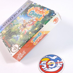 Hime's Quest Game Boy Color GBC Limited Run Games (Crunchyroll/Action Advanture) New