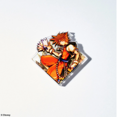 Disney Kingdom Hearts Acrylic Magnet Gallery Vol.4 Full Set of 10 Pieces JPN NEW