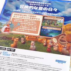 Everdream Valley PS5 Japan New (Multi-Languages/Action-Aventure)