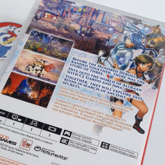 Eiyuden Chronicle: Rising Switch Red Art Games US Ed. New (Multi-Languages/RPG)