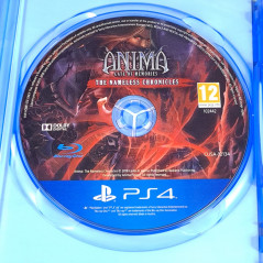 Anima: Gate of Memories The Nameless Chronicles PS4 [Multi-Languages/Action-RPG]