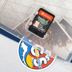 Disater Report 4: Summer Memories Nintendo SWITCH FR Used (Aventure Survival)