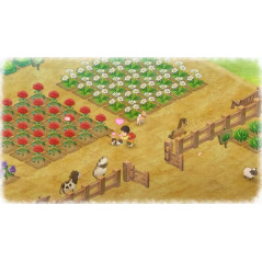 Doraemon Story of Seasons Nintendo Switch Asian Used (Game in ENGLISH/Aventure)