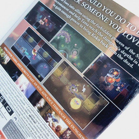 Sword Of The Necromancer SWITCH UK Game In Multilanguage Ver.NEW JANDUSOFT Aventure, RPG, Action 8437021082098 Nintendo