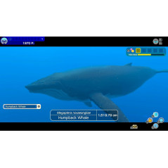 Endless Ocean Luminous Nintendo Switch Euro Used (Multi-Languages/Aventure)