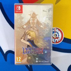 Record of Lodoss War Deedlit in Wonder Laberynth Switch Red Art Games Used (Multi-Languages)