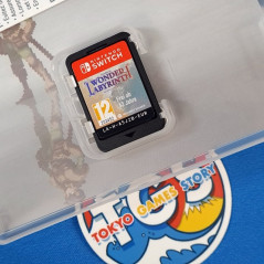 Record of Lodoss War Deedlit in Wonder Laberynth Switch Red Art Games Used (Multi-Languages)