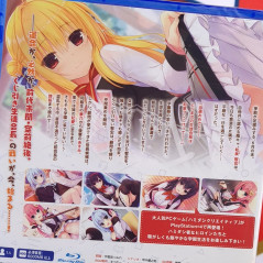 Hamidashi Creative PS4 Japan Edition Physical Game [Visual Novel] - i Mel NEW