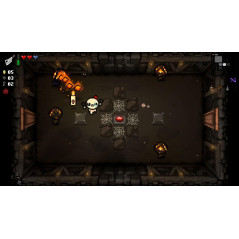 The Binding of Isaac: Repentance PS4 Japan Physical Game In ENGLISH NEW