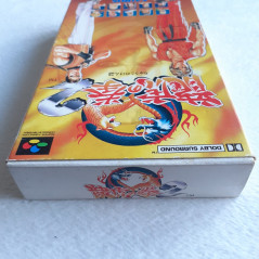 Ryuuko No Ken 2 Super Famicom (Nintendo SFC) Japan Ver. Art Of Fighting Ryuko SNK Saurus 1994 SHVC-P-AAFJ