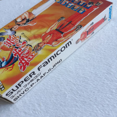 Ryuuko No Ken 2 Super Famicom (Nintendo SFC) Japan Ver. Art Of Fighting Ryuko SNK Saurus 1994 SHVC-P-AAFJ