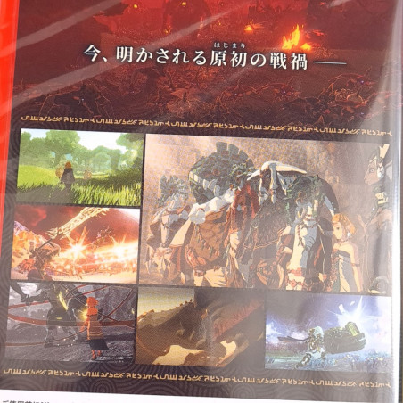 Zelda Hyrule Warriors: Age of Imprisonment Switch 2 Jpn [MultiLanguage/GAME CART] NEW