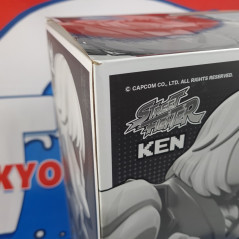 Street Fighter Bulkyz Collections Violent Ken (30cm) Figure Figurine Japan New