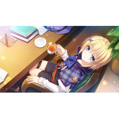 Yggdra Kingdom PS4 Japan Bishoujo Physical Game In JP [YS Series] NEW by Parallel Creates