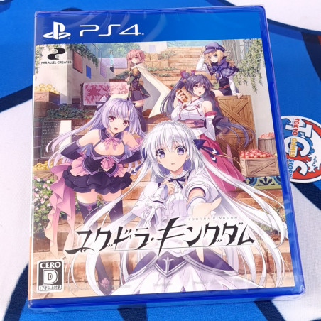 Yggdra Kingdom PS4 Japan Bishoujo Game [YS Series] NEW