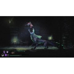 Mandragora Whispers of the Witch Tree Switch Japan (Multi-Languages/Plateforme) Preorder/Précommande