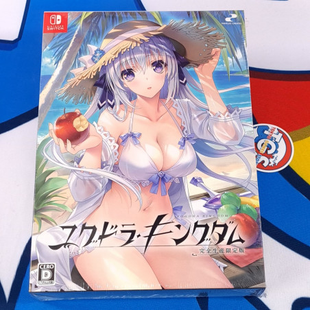 Yggdra Kingdom Limited Edition Nintendo Switch Japan Bishoujo [YS Series] NEW