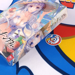 Yggdra Kingdom Limited Edition Nintendo Switch Japan Bishoujo [YS Series] NEW