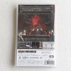 Record Of Lodoss War Wonder Labyrinth Switch Japan Game In EN/FR/SP/DE/IT/PT New Action Adventure Kadokawa