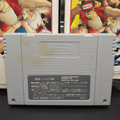 Garou Densetsu 2 Super Famicom (Nintendo SFC) Japan Ver. Fighting SNK Takara 1993 SHVC-DJ Fatal Fury