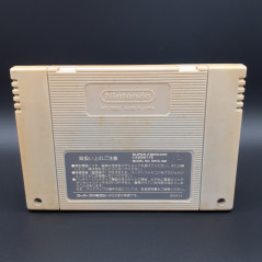 Psycho Dream (Cartridge Only) Super Famicom Japan Game Nintendo SFC Platform Riot SHVC-PY