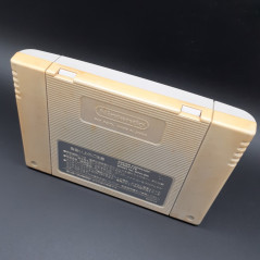 Psycho Dream (Cartridge Only) Super Famicom Japan Game Nintendo SFC Platform Riot SHVC-PY