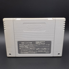 Zig Zag Cat (Cartridge Only) Super Famicom Japan Game Nintendo SFC SHVC-ZP