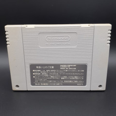 Demon's Blazon Crest (Cartridge Only) Super Famicom Japan Game Nintendo SFC Makaimura Capcom SHVC-3Z