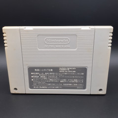 Holy Striker / Firestriker (Cartridge Only) Super Famicom Japan Game Nintendo SFC Action RPG SHVC-A1