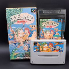 Joe & Mac Tatakae Genshijin Caveman Super Famicom Japan Game Nintendo SFC And Platform Action Data East 1991