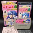 Super Nazo Puyo Tsu 2 Super Famicom Japan Nintendo SFC Game Puzzle RPG Compile 1996 SHVC-P-A8PJ