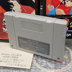 Ranma ½ Chounai Gekitsu Hen Super Famicom Nintendo SFC Japan Game 1/2 Fighting 1992 SHVC-RA