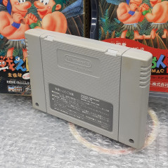 Joe & Mac 3 Tatakae Genshijin Caveman Super Famicom Japan Game (Nintendo SFC)