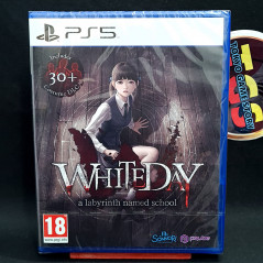 White Day PS5 Euro Game In EN-FR-DE-ES-IT New Korean Survival Horror