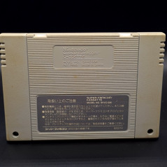 Rushing beat Rival turf ! Super Famicom Japan Game Nintendo SFC Beat them all Jaleco1992 SHVC-RB