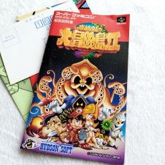 Takahashi Meijin No Daiboukenjima II (Adventure Island 2) Super Famicom Nintendo SFC Japan Ver. TBE Platform Hudson 1995